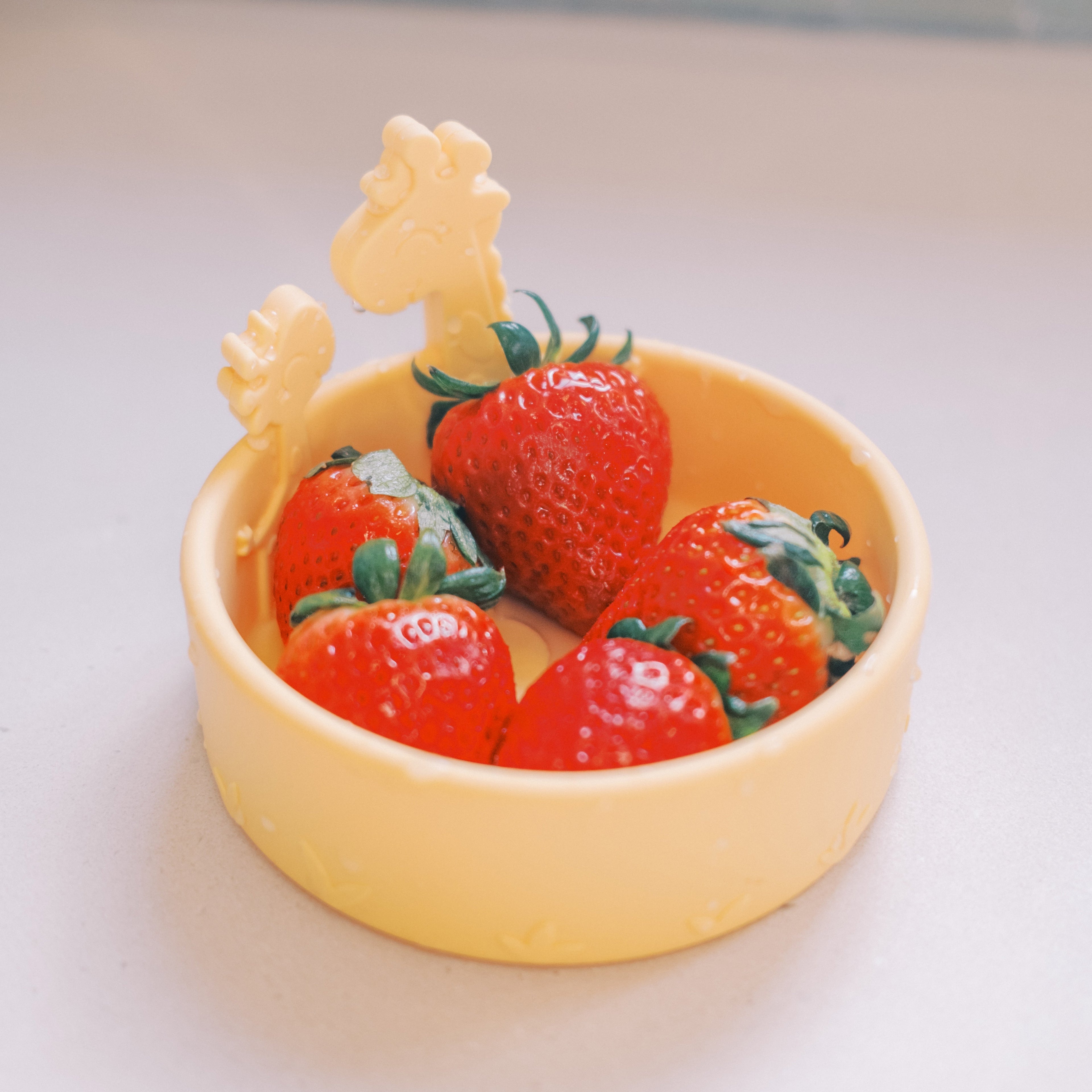 Animal Friends All Silicone Bowl (4DME)