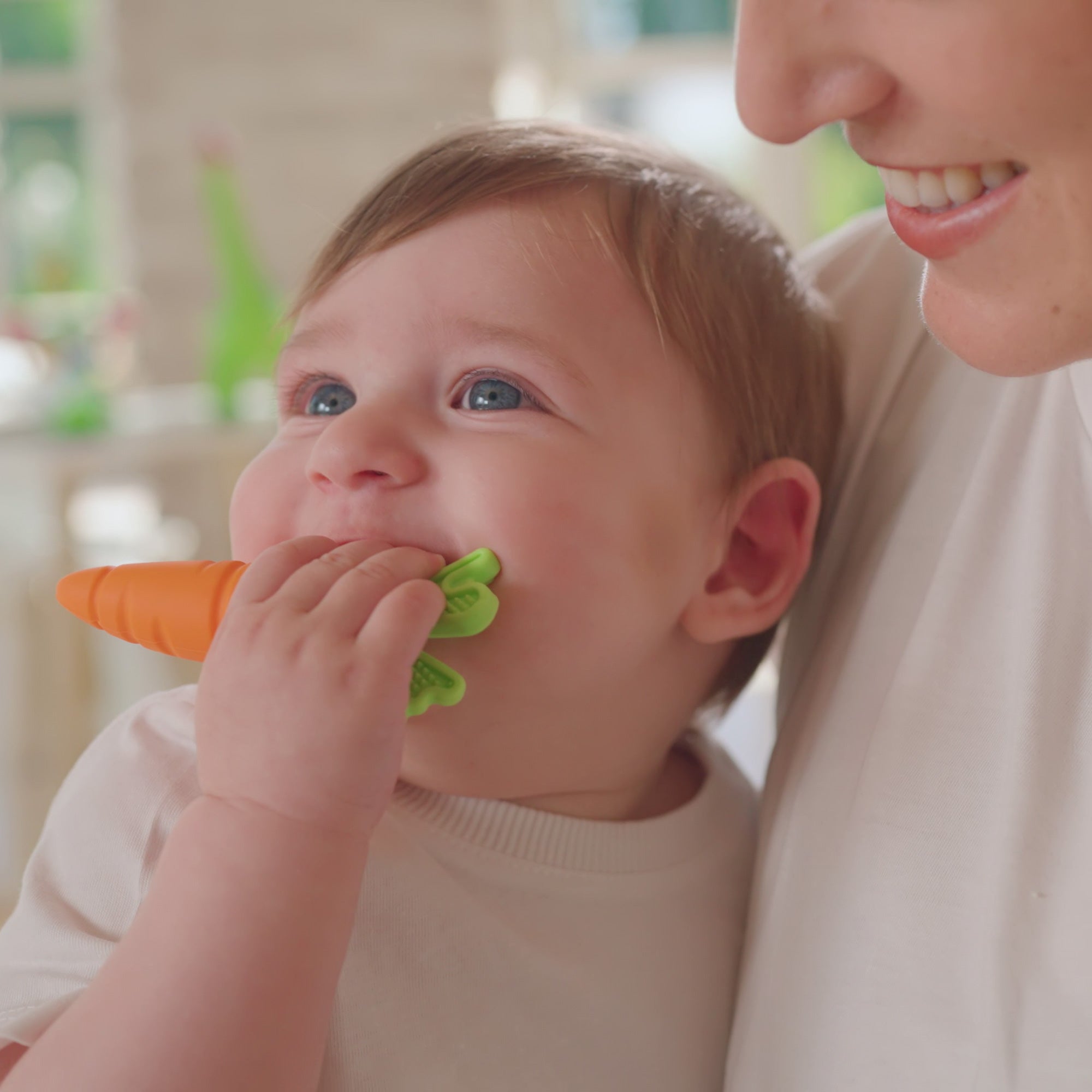 Carrot Teether Set (2 Pack) (EV2A)