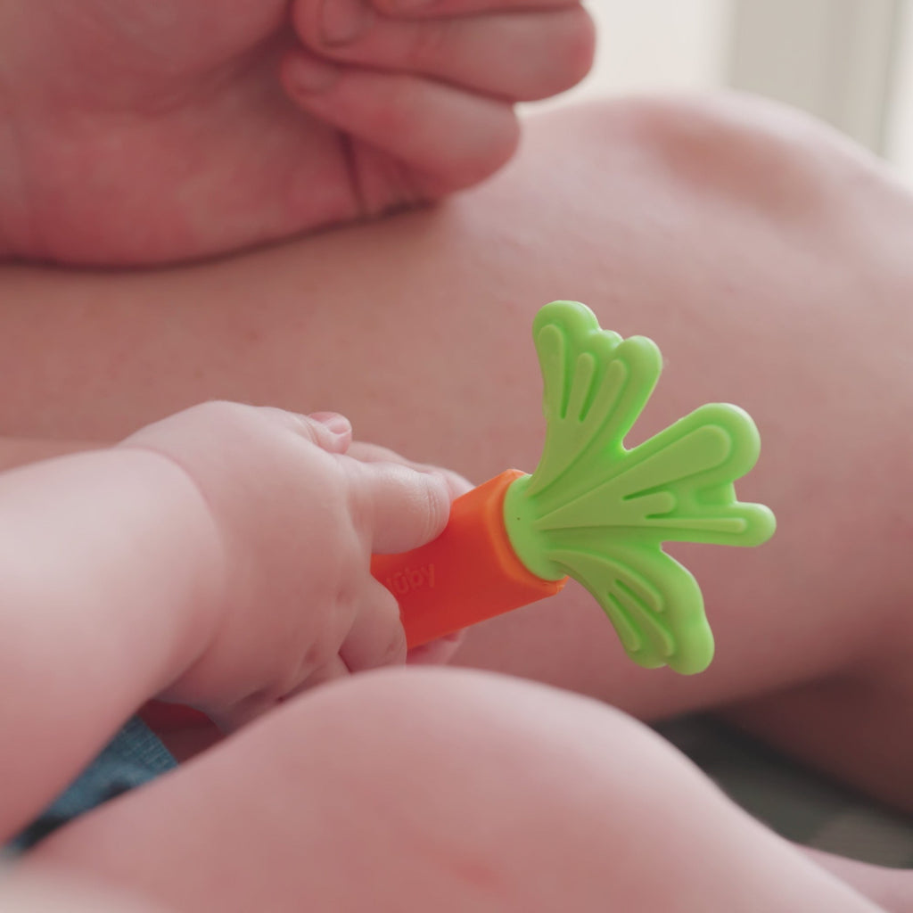 Carrot Teether Set (2 Pack) (EV2A)