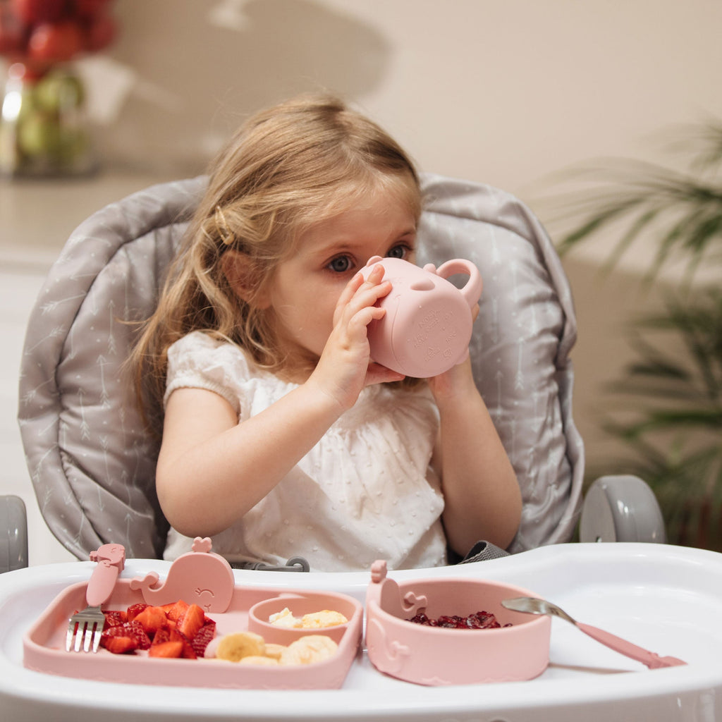 Animal Friends 6-Piece Dinnerware Set - Pink Whale (1DNS)