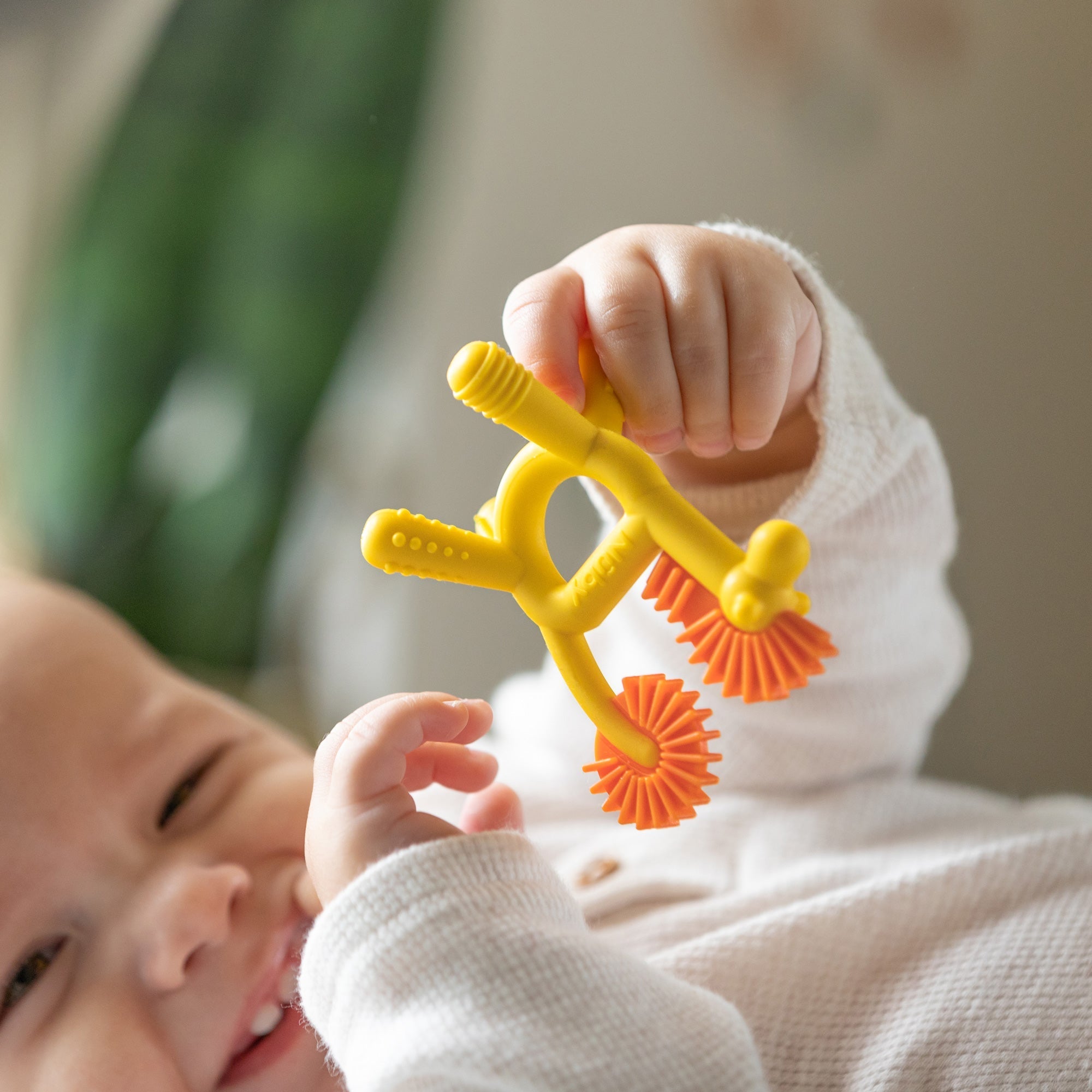 Geo Zoo Silicone Teether (6Z8F)
