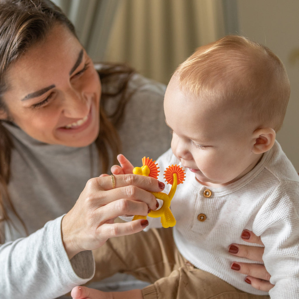 On-the-Go Teething Times Bundle (QL7L)