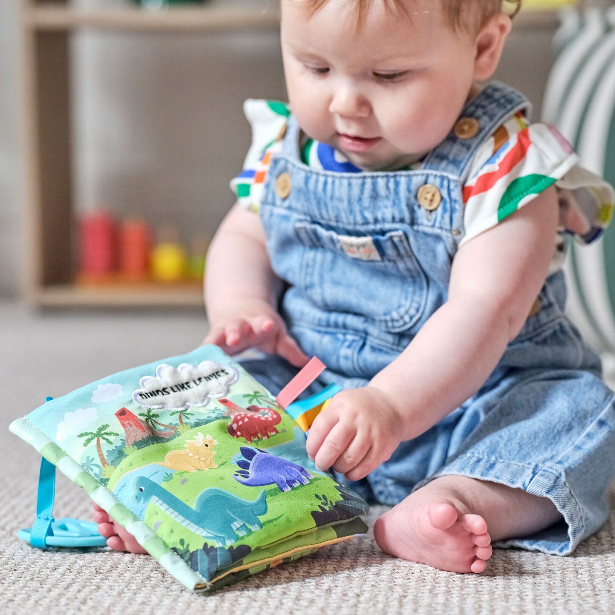 Baby Sensory Book | Dino (U13B)