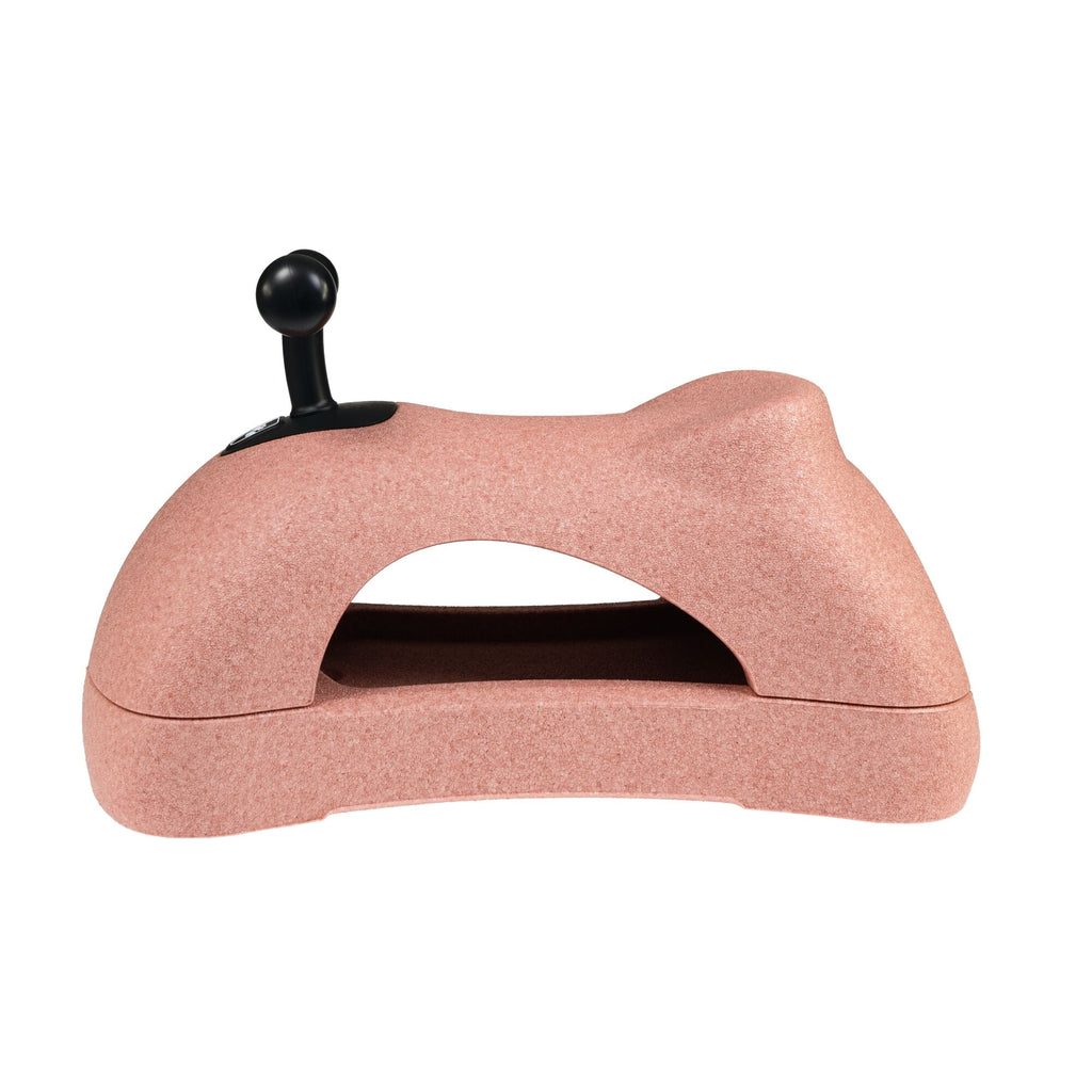 Boogie Buggy | Pink (H9IC)
