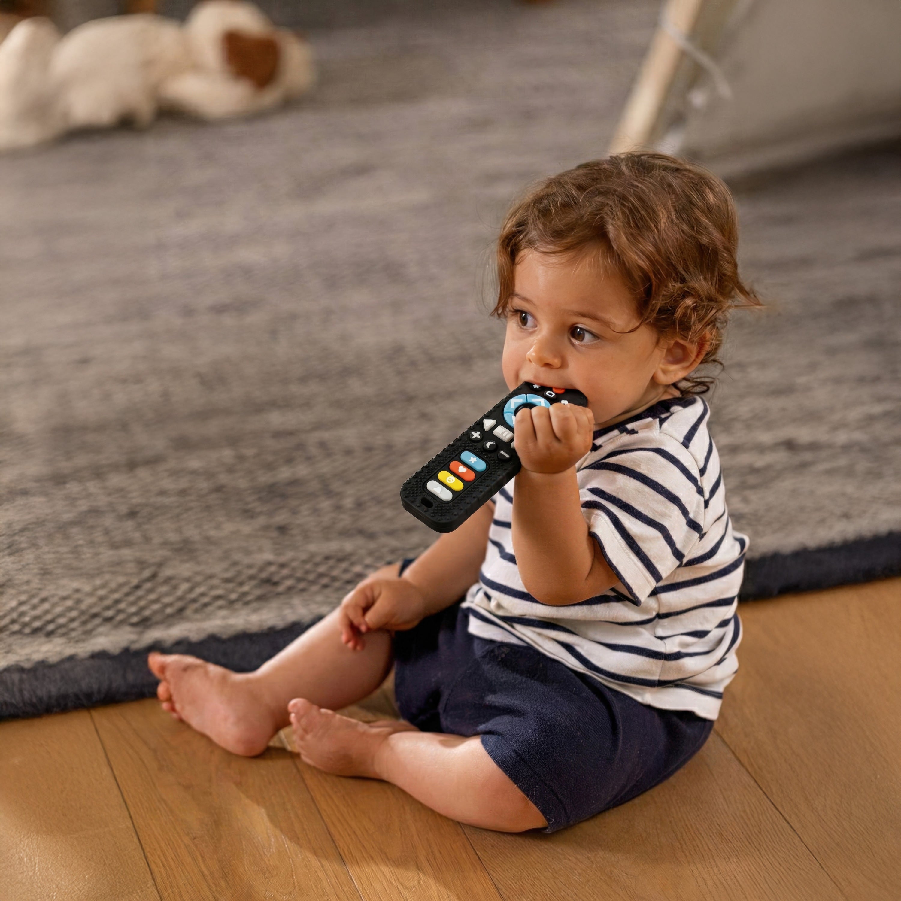 Silicone Remote Control Teether Toy (8SYJ)